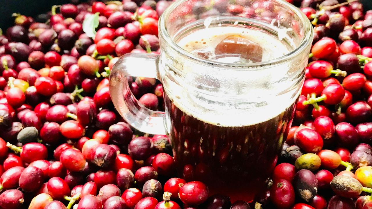 Cranberry Juice Benefits & A Delicious Recipe to Make Your Own