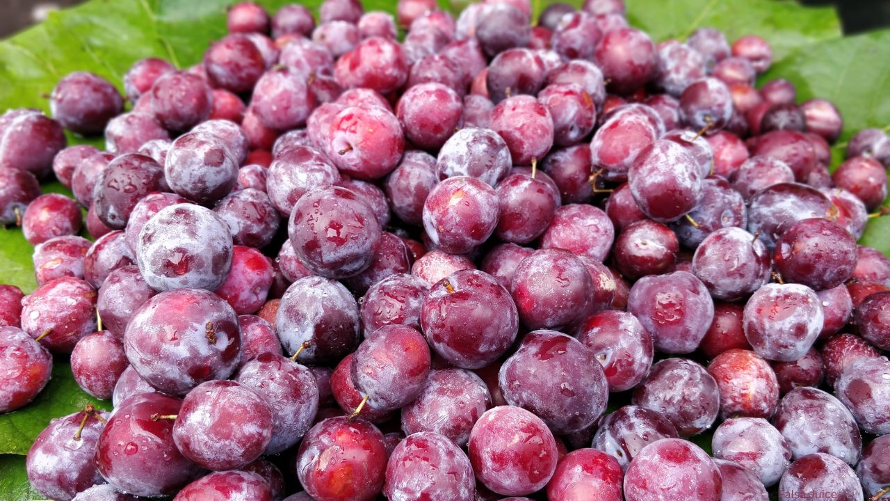 Falsa Juice Benefits Explained (with Recipe)