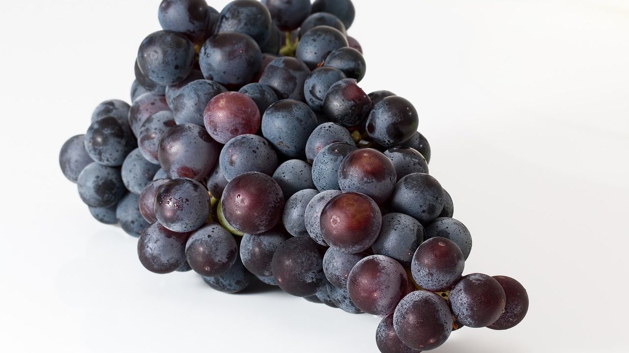 Pulpy Grape Juice Benefits