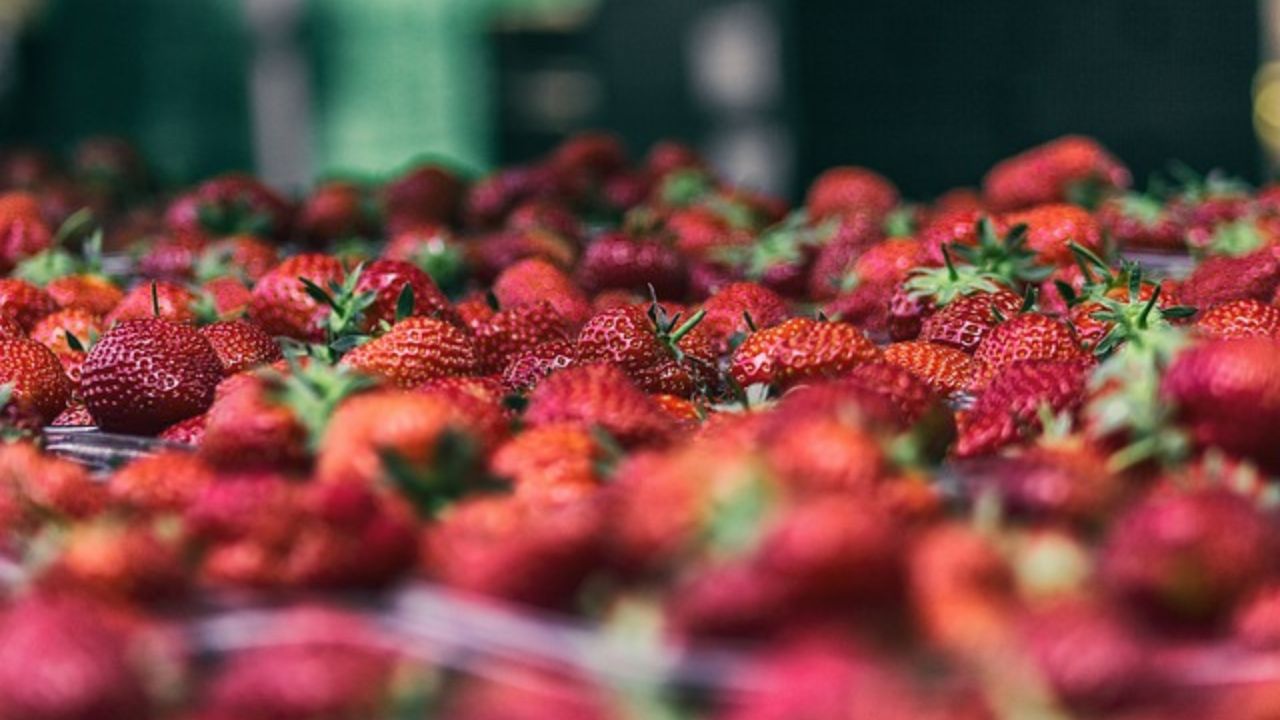 Strawberry Juice Benefits, Nutrition, and Delicious Recipe Ideas